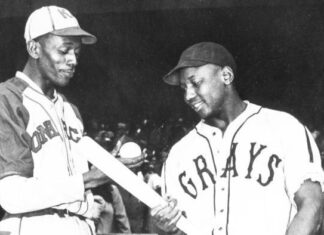Major League Baseball stars include statistics and records for the Negro Leagues