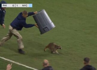 Portland Timbers announcer apologizes over awkward MLS broadcast hot mic blunder — overshadowed by hilarious raccoon incident