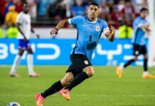 Copa América: Luis Suarez enjoying final moments with Uruguay