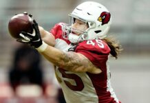 Cardinals LB Dennis Gardeck tears ACL, to miss rest of 2024