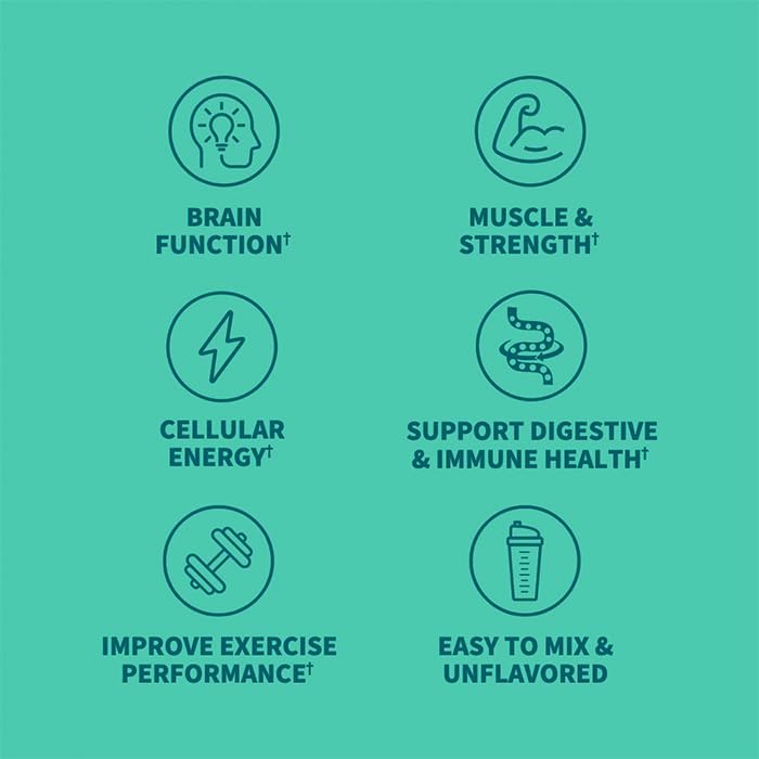 Garden of Life Creatine Monohydrate Powder for Women and Men, Micronized Pre Workout with Probiotics for Muscle, Strength, Performance, Sport Amino Energy, About 60 Easy to Mix Unflavored Servings - Image 3