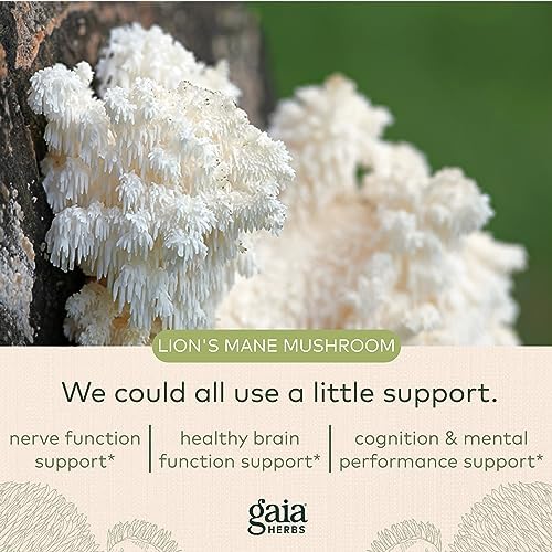 Gaia Herbs, Lions Mane Mushroom, 40 Count - Image 6