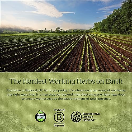 Gaia Herbs, Lions Mane Mushroom, 40 Count - Image 9