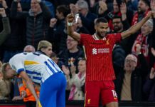 “Loudest I’ve witnessed as an away fan” – LFC and Brighton fans laud Anfield atmosphere – Liverpool FC