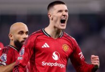 Man United’s successful summer signings provide hope for the future