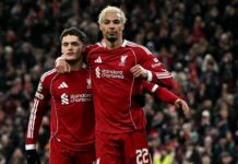 English Premier League summer transfers: A group of bankruptcies or is patience required?