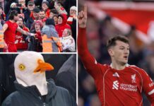 Ironic cheers for Ramsay, Szoboszlai spots fan & ‘that’ seagull – 5 moments you may have missed