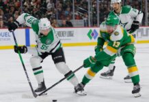 Looking ahead to the NHL’s Central Division playoff battle