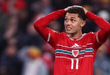 Wales went ‘full gas’ but paid price in failed World Cup bid