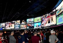 Ole Miss to launch center dedicated to risk, effects of gambling