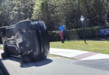 Tiger Woods told authorities he was looking at the phone before the plane crash