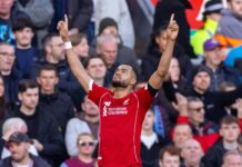 Cody Gakpo “needed that goal”: Arne Slot wants winger to stop “overthinking”