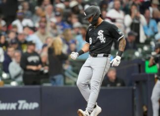 White Sox outfield Everson Pereira on IL with ankle sprain