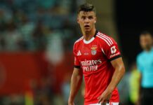 Samuel Dahl: What United scouts think about Benfica’s marauding star – Man United News And Transfer News